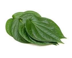 paan (betle leaves) pack of 8 leaves