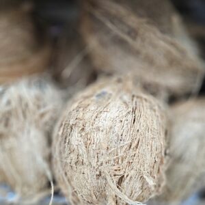 puja coconut (nariyal) sold by piece