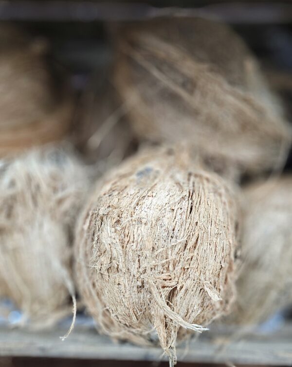 puja coconut (nariyal) sold by piece