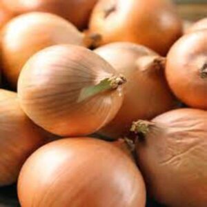 yellow onion (jumbo) sold by pound