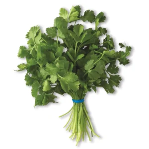 Cilantro-1.webp