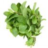 Mint Fresh
