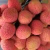 Lychee