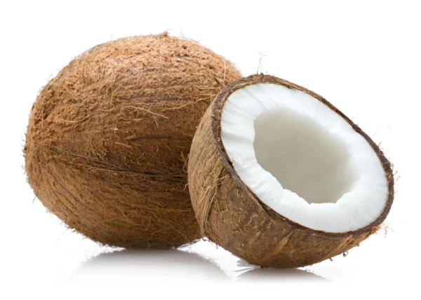 Drycoconut2