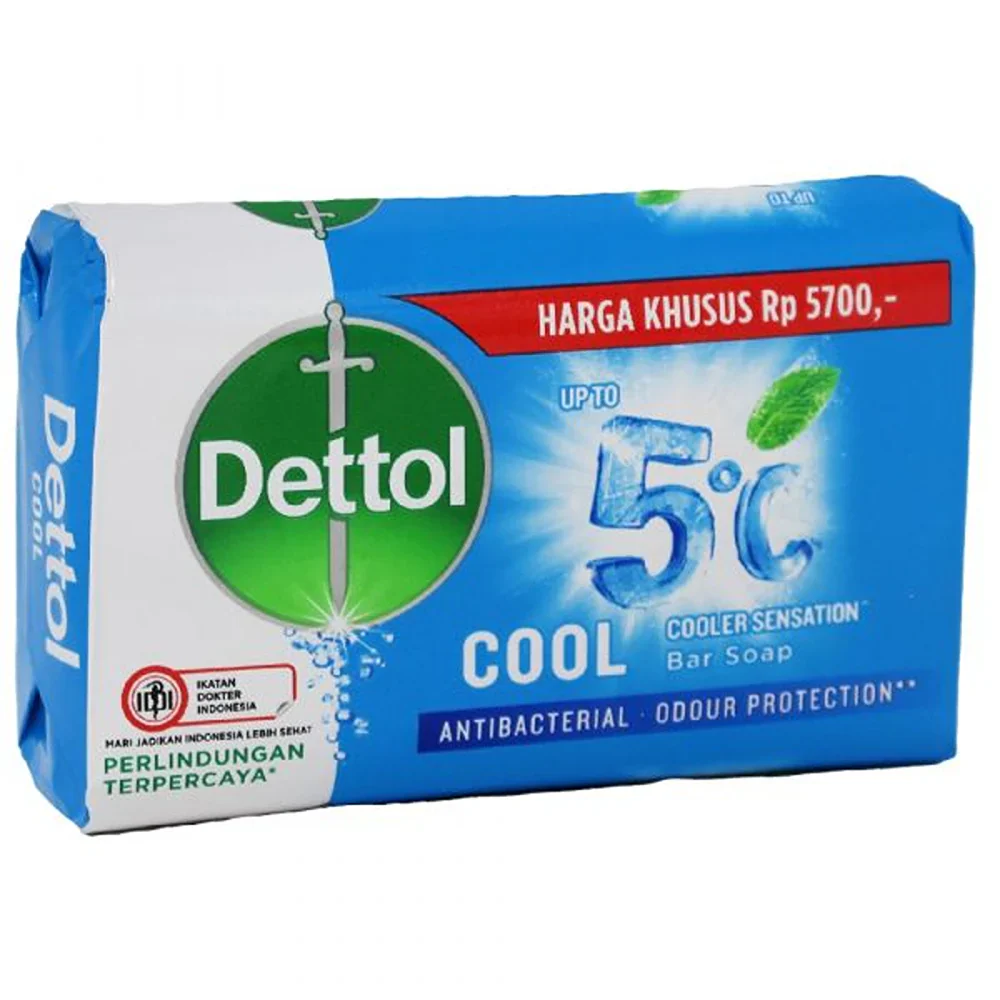 Dettol Cool Mint Soap (100g)