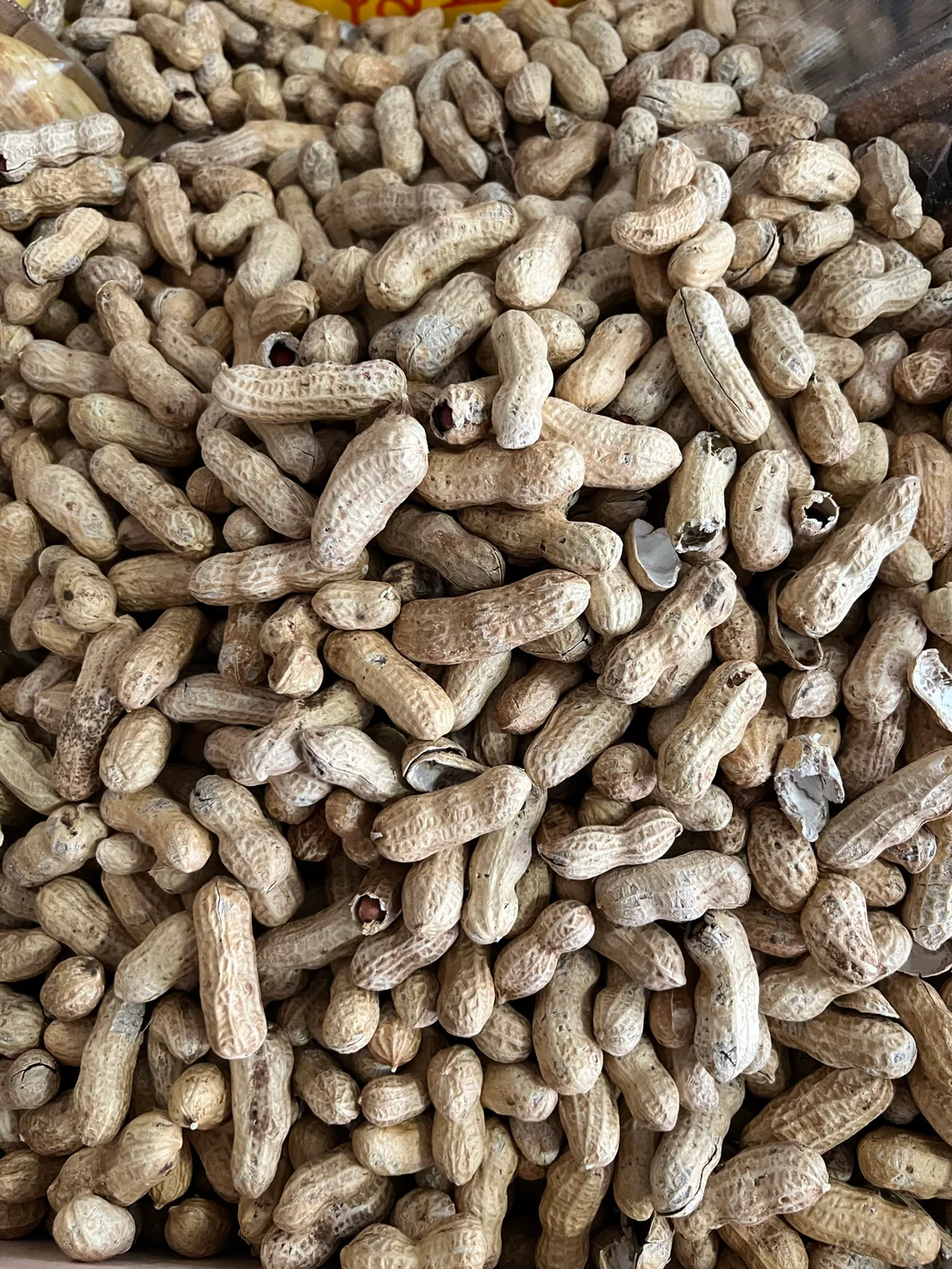 Raw Peanut