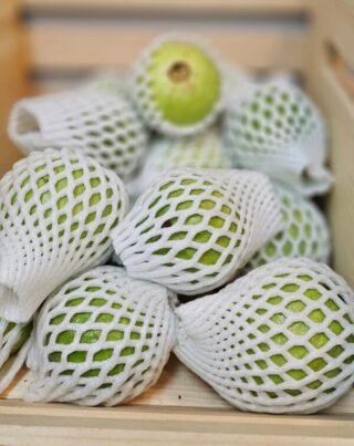 Guava