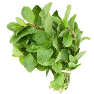 Mint Fresh