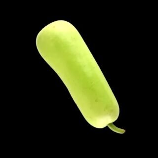 Dudhi Indian (Bottle Gourd)