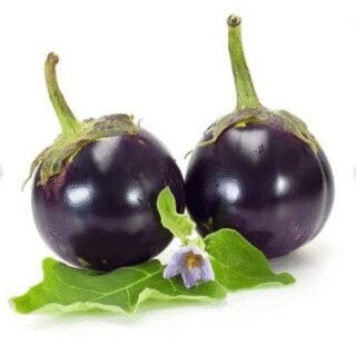 Baby Eggplant Round