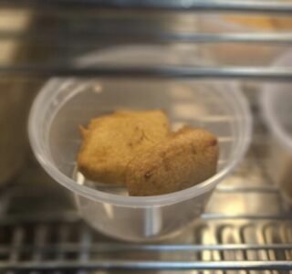 Paneer-Stuffed Bread Pakora, a crispy Indian snack