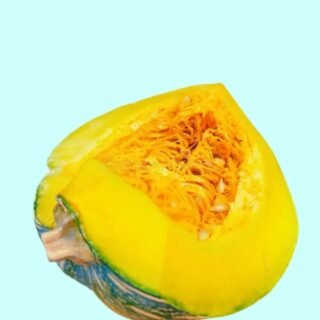 green-pumpkin-sliced-vine-vegetable-indian-kashiphal-petha-kaddu
