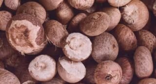 betel-nut-puja-essentials